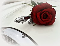 Love is Golden Wedding Car Hire 1102897 Image 3